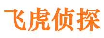 遂宁市侦探调查公司